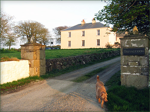 Trefacwn country house st davids pembrokeshire